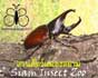 Siam Insect Zoo & Museum